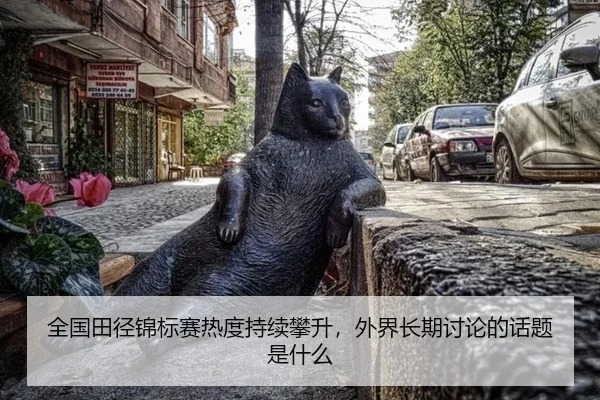 quan-guo-tian-jing-jin-biao-sai-re-du-chi-xu-pan-sheng-wai-jie-chang-qi-tao-lun-de-hua-ti-shi-shen-me-2-956.jpg